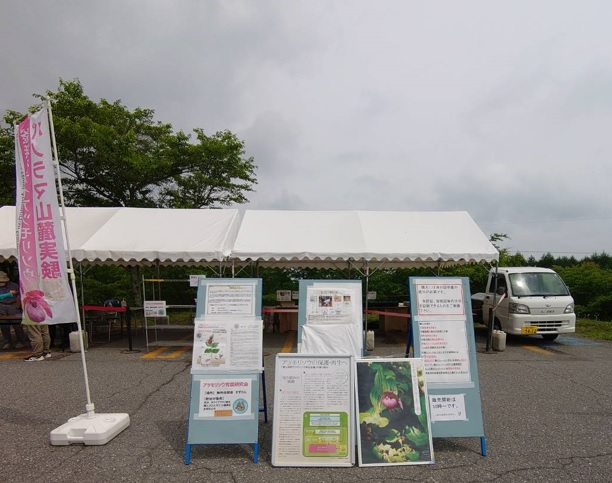 販売特設ブース